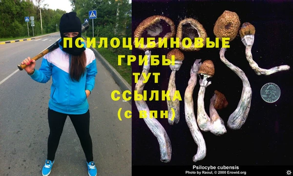 ECSTASY Алексеевка