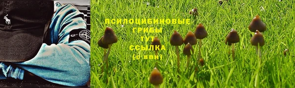 спиды Алексин