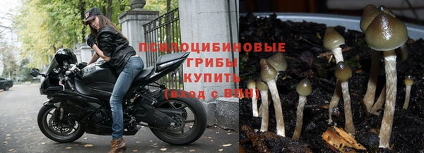таблы Алзамай