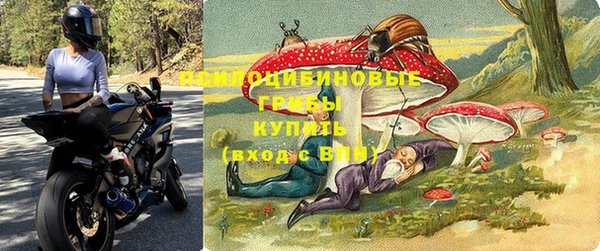 ECSTASY Алексеевка