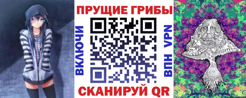 Галлюциногенные грибы Psilocybine cubensis  Купить где  Берёзовский 